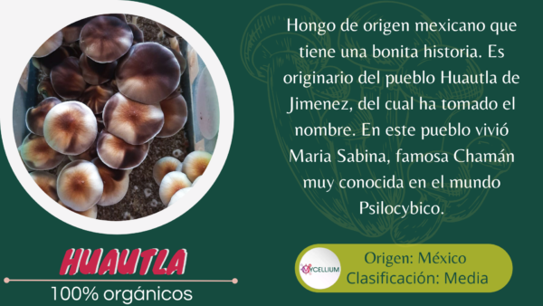 HUAUTLA
