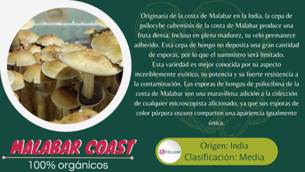 MALABAR COATS