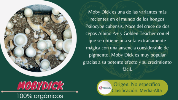 MOBYDICK