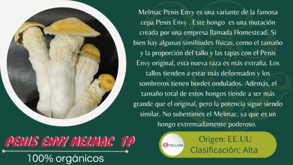 PINIS ENVY MELMAC TP